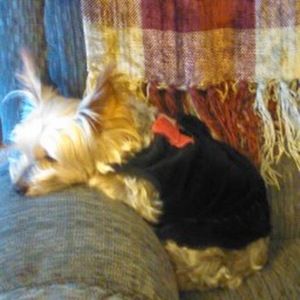 Meet your Posher, Sheila